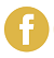 FB icon